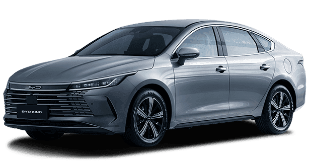 BYD King