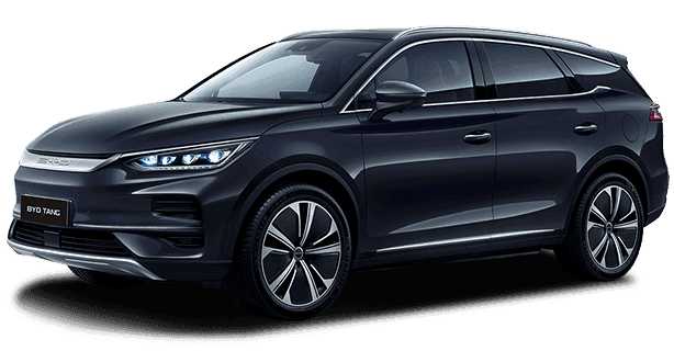 BYD Tan