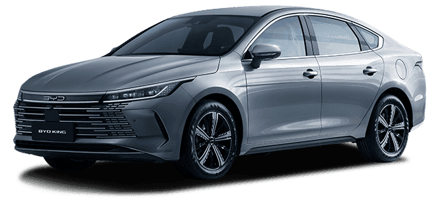 BYD King