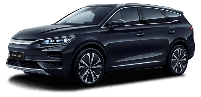 BYD Tan