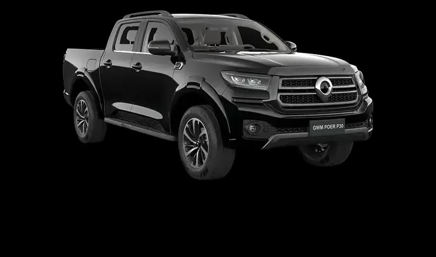 GWM Poer P30