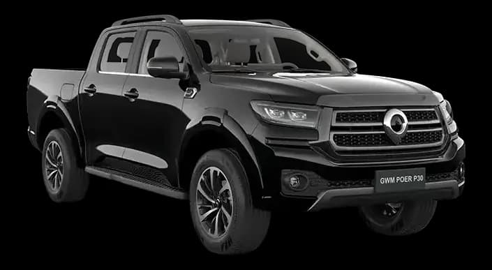 GWM Poer P30
